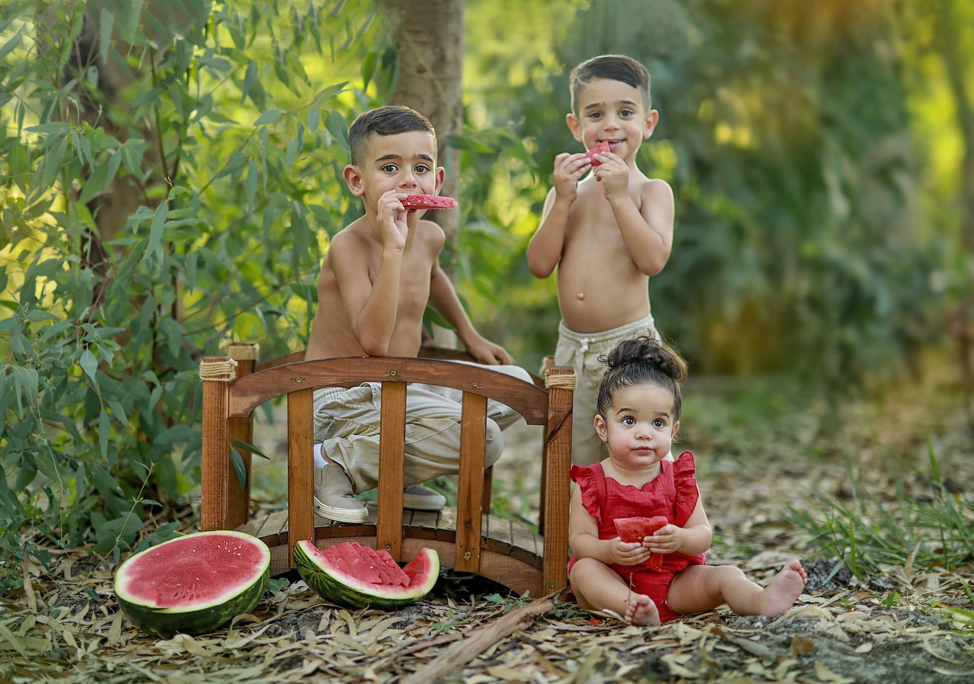 תיאור תמונה 3